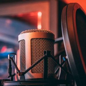 voice imitation